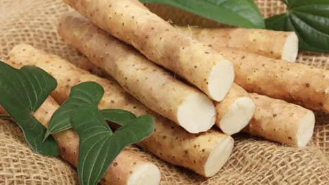 HƯỚNG DẪN SỦ DỤNG HOÀI SƠN (CỦ MÀI)