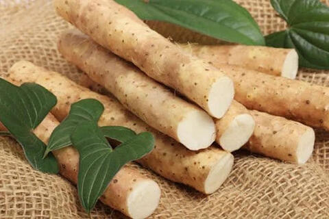 HƯỚNG DẪN SỦ DỤNG HOÀI SƠN (CỦ MÀI)